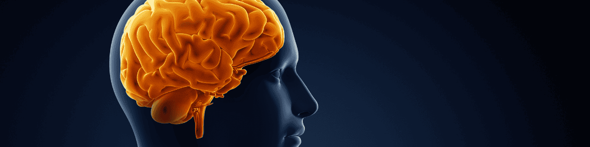 Brain-01-fxvmPX.png